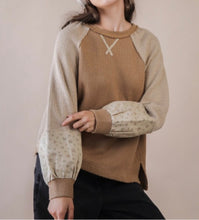 Load image into Gallery viewer, Women Top/Mocha-NT12328-1