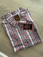 Load image into Gallery viewer, Men Polo/Rust Vertical Line-P30